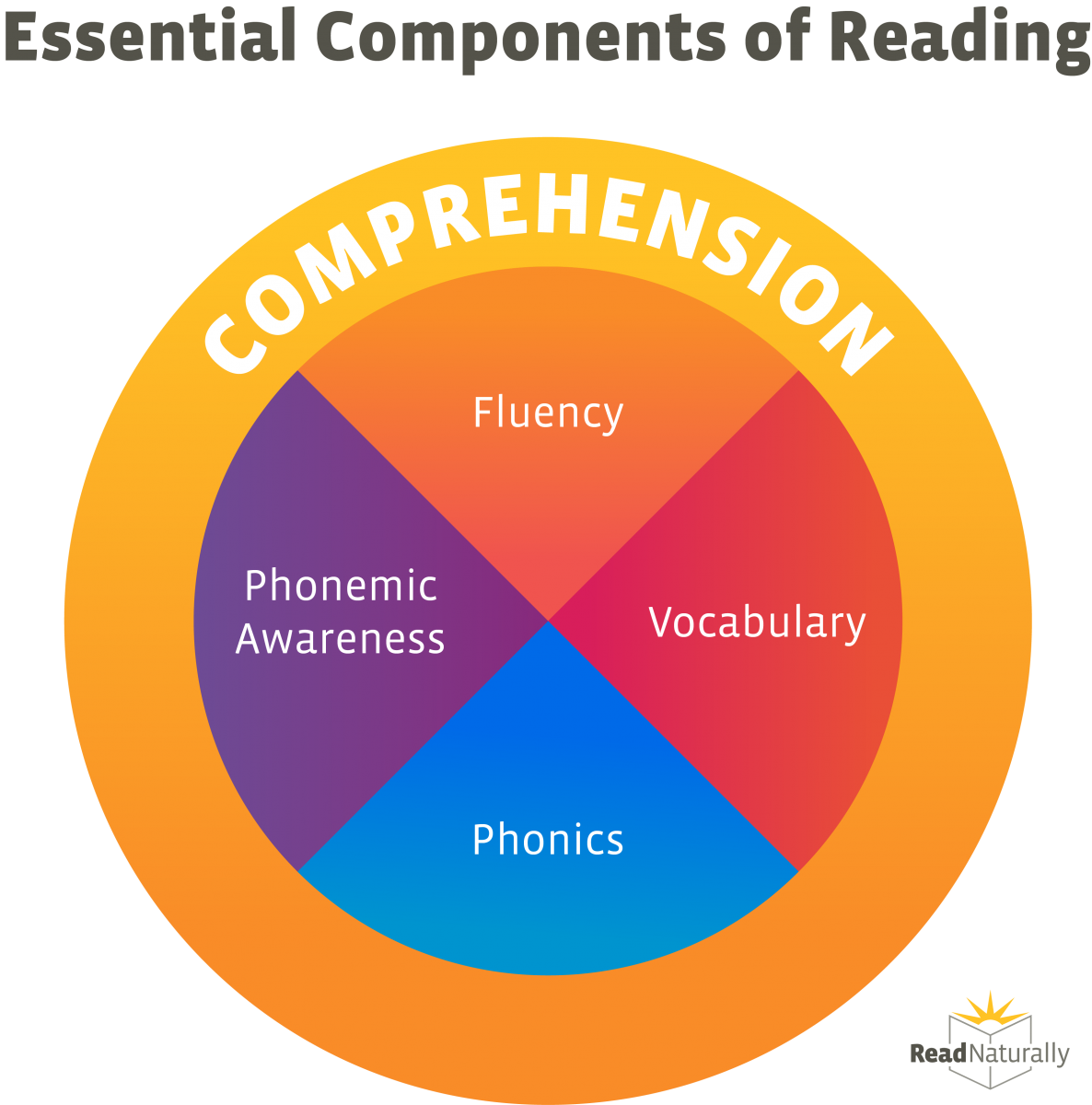 5 Essential Components of Reading