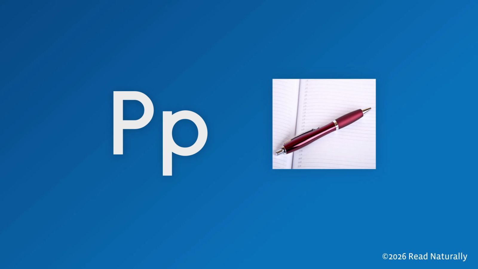 P - Instructional Video