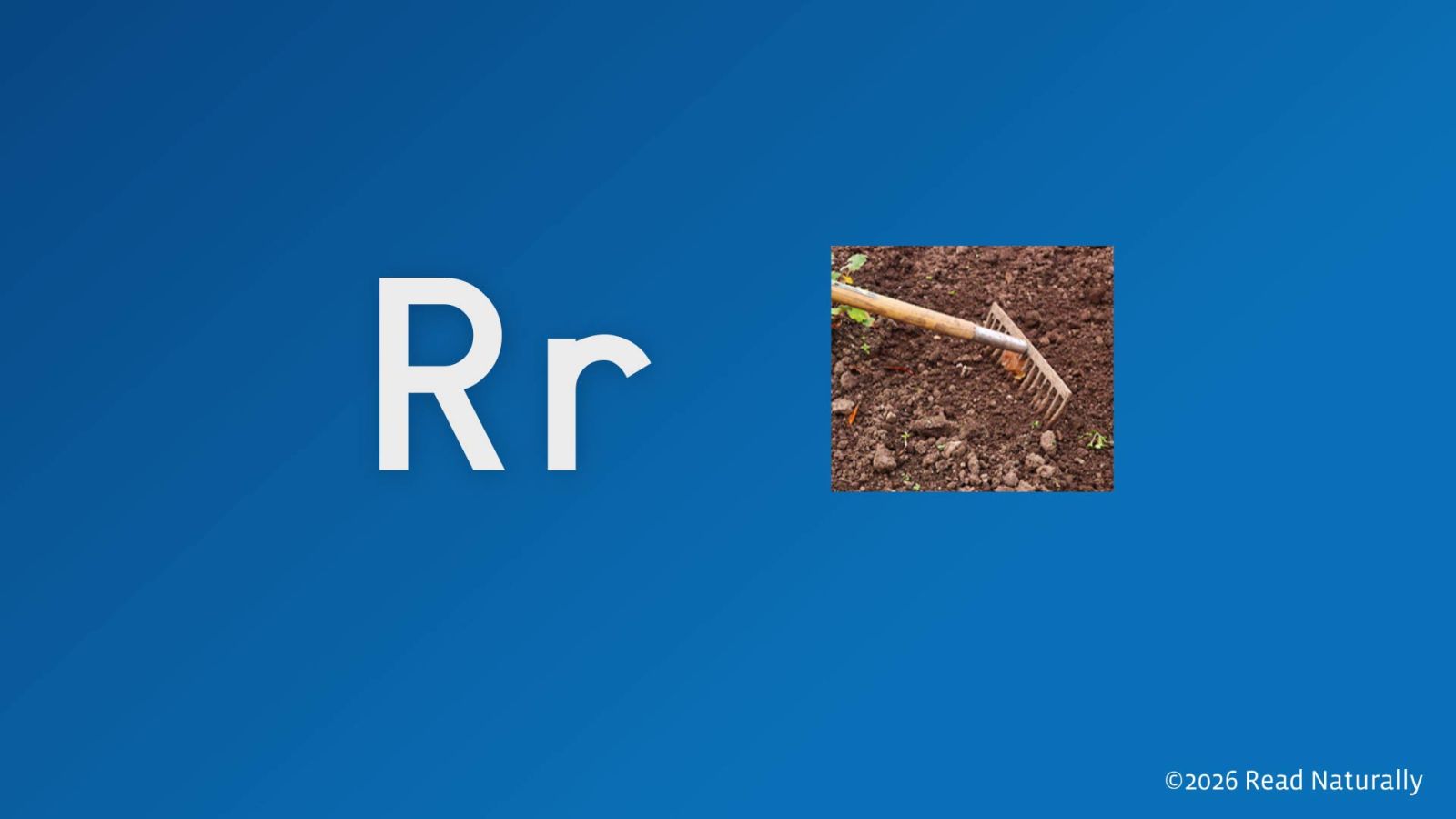 R - Instructional Video