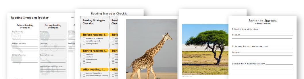 Free Comprehension Builder Lesson