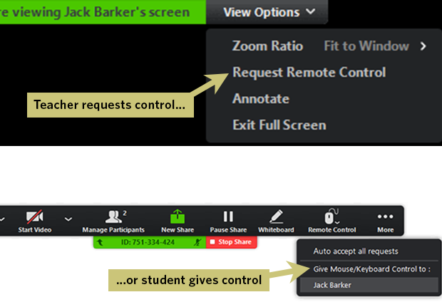 Controlling another screen in Zoom